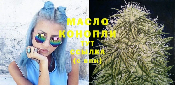 соль ск Бородино