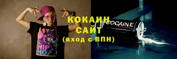 соль ск Бородино