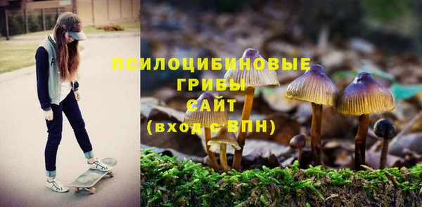 соль ск Бородино