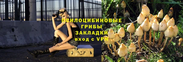соль ск Бородино