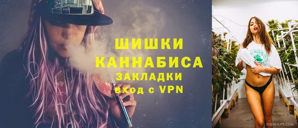 соль ск Бородино
